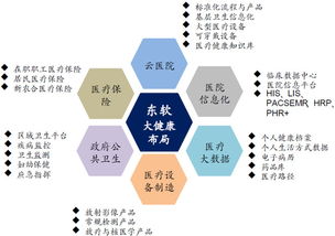 東軟集團 深耕醫療信息化，軟件與系統集成構筑核心支柱