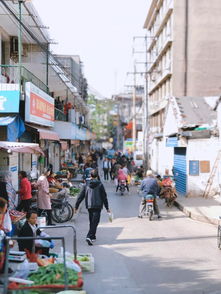 住在建國路，逛個菜場都要胖10斤